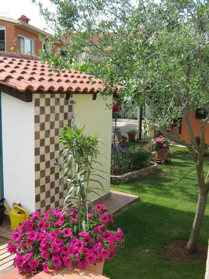 Guest House Bizjak Vinkuran Exterior photo