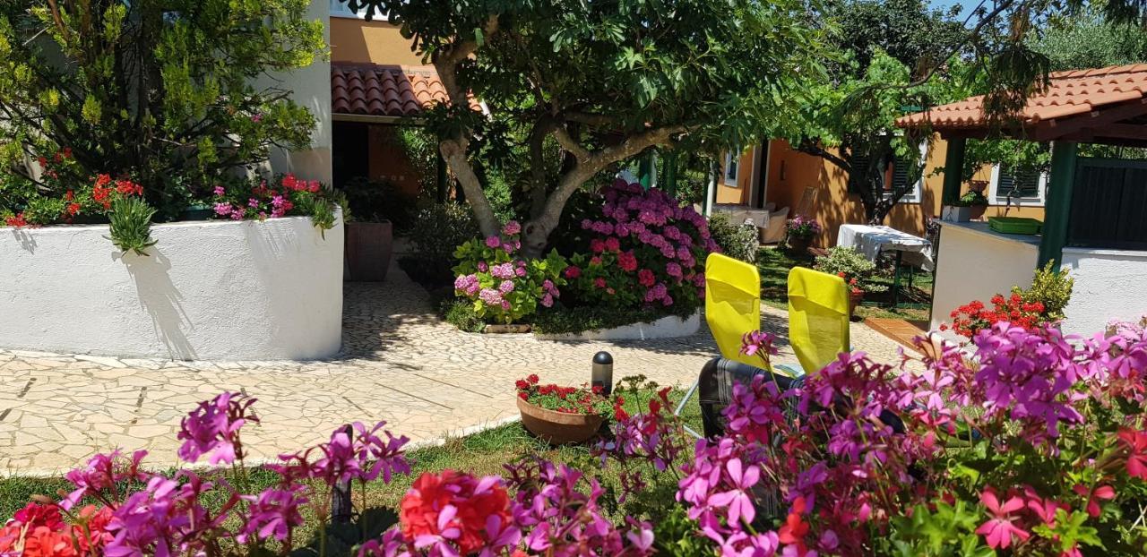 Guest House Bizjak Vinkuran Exterior photo