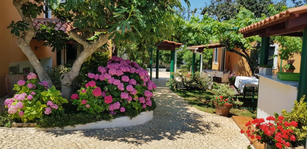 Guest House Bizjak Vinkuran Exterior photo